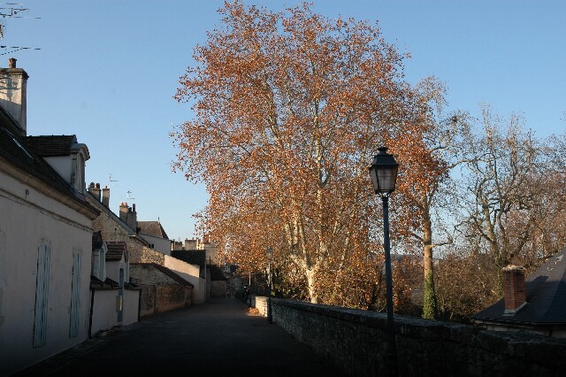 min 2007 12 15 beaune archi 115